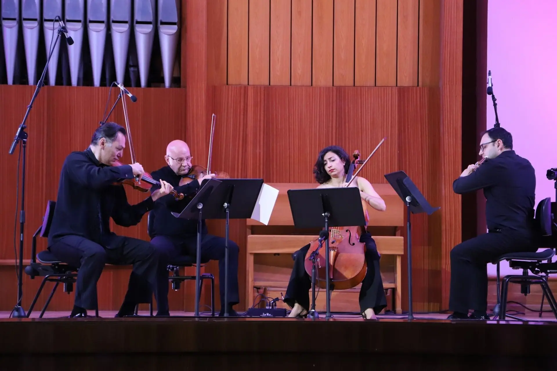 Kapan International Music Festival kicks off