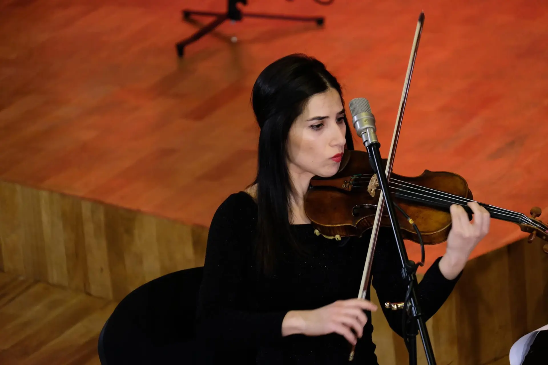 Անի Կարապետյան